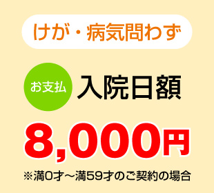 長崎医療共済メリット入院日額8000円